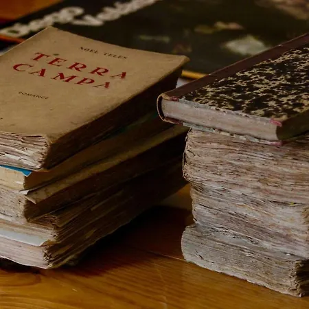 Cozy And Quiet Flat Near Avenida Da Liberdade Lägenhet Lisboa